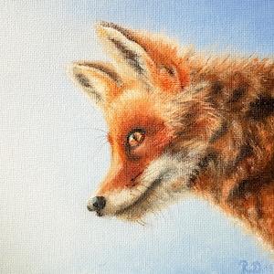 Kunstdruk "Kleine Vos" klein plaatje van een jonge vos ~ Kunstdruk