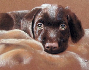 Original Pastellzeichnung Hund Labrador