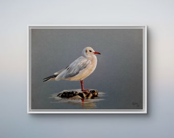 Art print drawing seagull bird