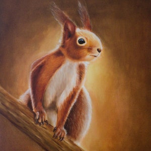 Esquilo fofo ~~~ Impressão artística ~ Impressão de pintura a óleo