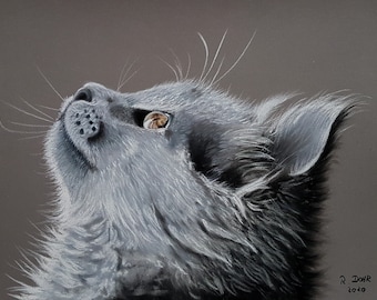 Art Print Gray Cat Drawing ~ Fine Art Print