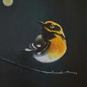 Original oljemålning "WOOD WARBER" ~~ Fågelmålning