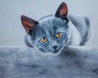 Original pastel painting drawing ~ gray cat ~