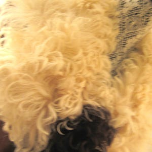 May include: A fluffy white and brown sheepskin rug with a soft, shaggy texture.