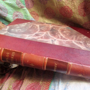 1905 Swedish hardcover, World's Culture, leather bound, marbled paper, photos/illustrations, gilded edges, Swedish text, lovely antique