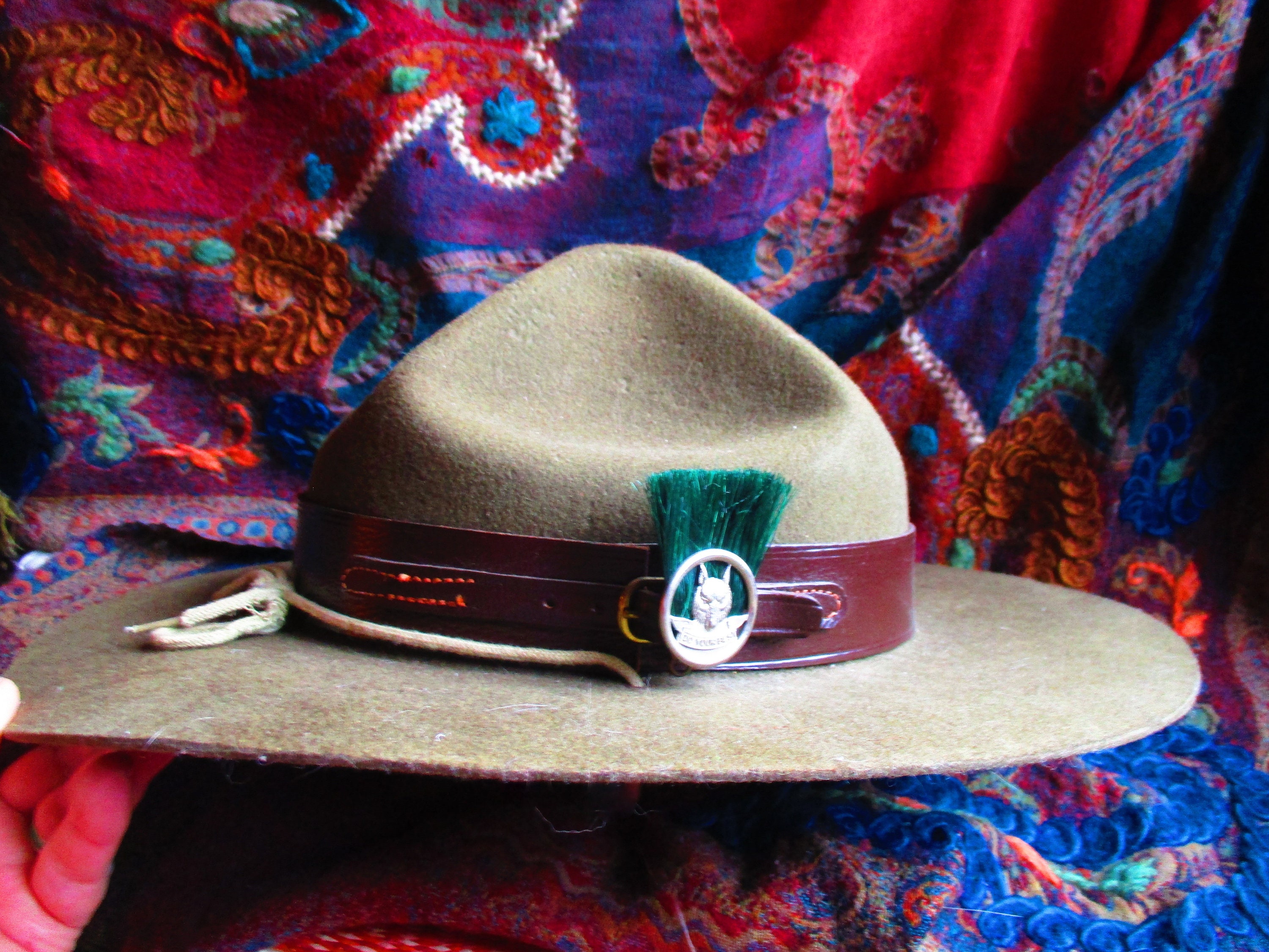 1950's Boy Scout leader's hat, official Troop leader, wide brim, wool felt,  leather band, wolf badge with thistle, memorabilia, cosplay