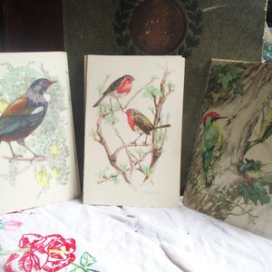Sechs Schiffsmenüs von 1953, unglaubliche Vogel-Aquarell-Cover, faszinierende historische Menüangebote, Mid-Century-Geschichte / Ephemera
