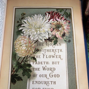 May include: A vintage book page with a green background and a scroll with the text 'The grass withereth. The flower fadeth: but the word of our God endureth for ever. Isaiah XL 8.' The scroll is surrounded by white and pink flowers with green leaves.