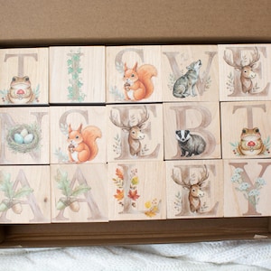 May include: Wooden alphabet blocks with woodland animal illustrations, including a squirrel, deer, and frog. Each block features a letter and a corresponding nature-themed image. The blocks are arranged in a cardboard box.
