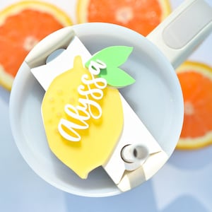 Fruit Stanley Name Plates Lid Toppers Cup Accessories Personalized Tag for Tumbler, 40 30 20 oz Lemon Strawberry Summer
