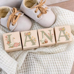 May include: A pair of light gray leather shoes with tan laces positioned above four wooden blocks arranged to spell the name LANA. Each block features a large green letter decorated with floral illustrations and a white goose with a picnic basket.