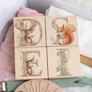 May include: Wooden alphabet blocks spelling out the word "DEI" with woodland animal illustrations. The blocks feature a deer, a squirrel, and ivy. The blocks are inside a white box with a pink blanket and a pacifier.