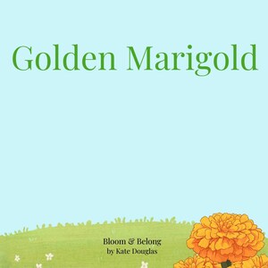 Puede incluir: Ilustración con el texto "Golden Marigold" en verde. La imagen presenta tres flores de caléndula naranja en la parte inferior derecha, con una zona de hierba verde y pequeñas flores blancas. También está presente el texto "Bloom & Belong by Kate Douglas".