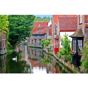 Bruges Belgium Photography, Photograph, Photo, Canvas Print, Canal Scene, Swans, Travel Photos, Fine Art Photography