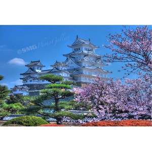 Japanese, Castle, Cherry Blossoms, Ancient, White, Home Decor, Wall Art, Travel Photos, Fine Art, Photography, Canvas, Metal, Matted Prints