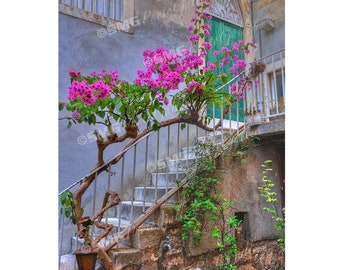 Croatia, Split, Island, Courtyard, Colorful, Flowers, Home Decor, Wall Art, Travel Photos, Fine Art Photography, Canvas, Metal, Matted Print