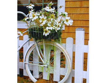 White Bicycle, Flower Basket, Long Island, New York, Home Decor, Wall Art, Travel Photos, Fine Art, Photography, Canvas, Metal, Matted Print