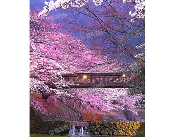 Japan, Cherry Blossoms, Kameoka, Bridge, Spring, Home Decor, Wall Art, Travel Photos, Fine Art, Photography, Canvas, Metal, Matted Prints