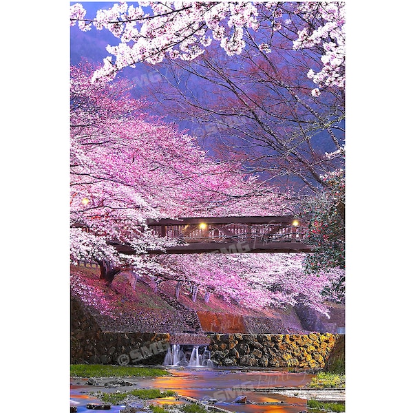 Japanese Cherry Blossoms Metal Wall Art Etsy