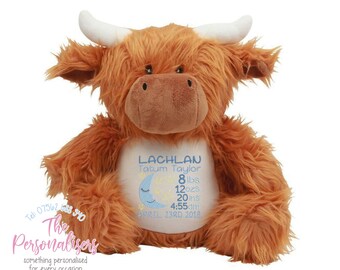 highland cattle teddy