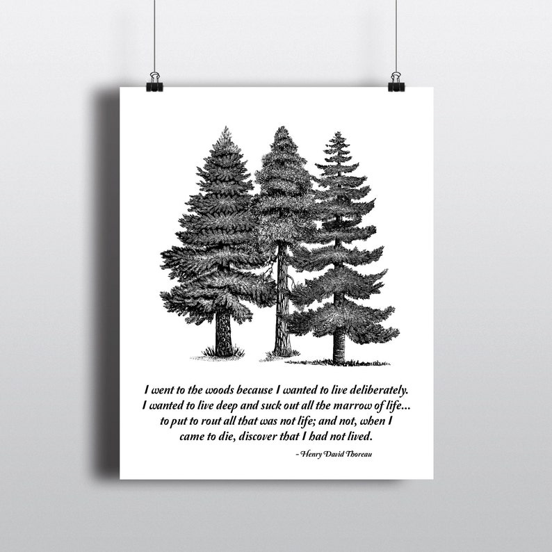 I Went To The Woods Quote Henry David Thoreau Print Tree | Etsy