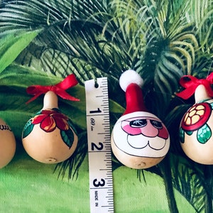 Hand painted miniature Santa gourd ornamentPersonalized mini Ornament from HawaiiRustic Christmas OrnamentSANTA ornament image 7