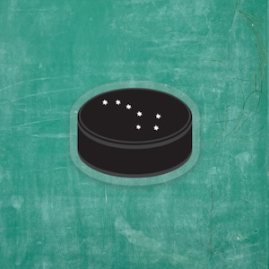 Big Dipper Hockey Puck - Tiny Viny Sticker
