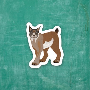 Lynx - Tiny Viny Sticker
