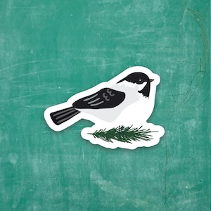 May include: A black and white bird with a black head and a white body is perched on a green pine branch. The bird is facing to the left and has a small black beak. The background is a green chalkboard.