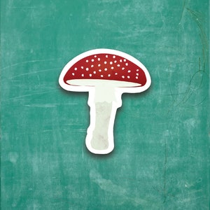 May include: A red and white mushroom with white spots on the cap, drawn on a green chalkboard background.