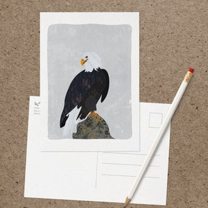 Cartes postales de la série Faune de l'Alaska