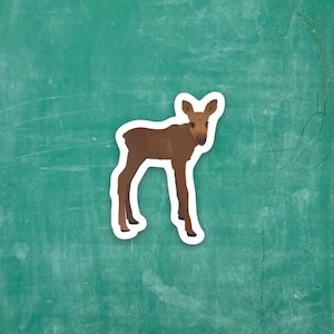 May include: A brown and white moose calf sticker on a green chalkboard background.