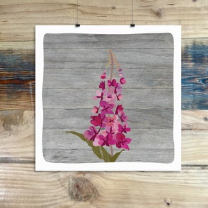 CLOSEOUT - &quot;Alaska Fireweed&quot; art print