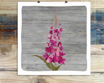 Fireweed - Art Print