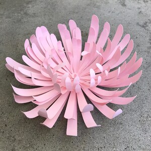 K&ouml;nnte beinhalten: Eine gro&szlig;e, hellrosa Papierblume mit geschichteten Bl&uuml;tenbl&auml;ttern. Die Blume ist zentriert und nimmt den gr&ouml;&szlig;ten Teil des Rahmens ein. Die Bl&uuml;tenbl&auml;tter sind gebogen und radial angeordnet, wodurch eine volle, offene Bl&uuml;te entsteht. Die Blume ist vor einem grauen Hintergrund platziert.