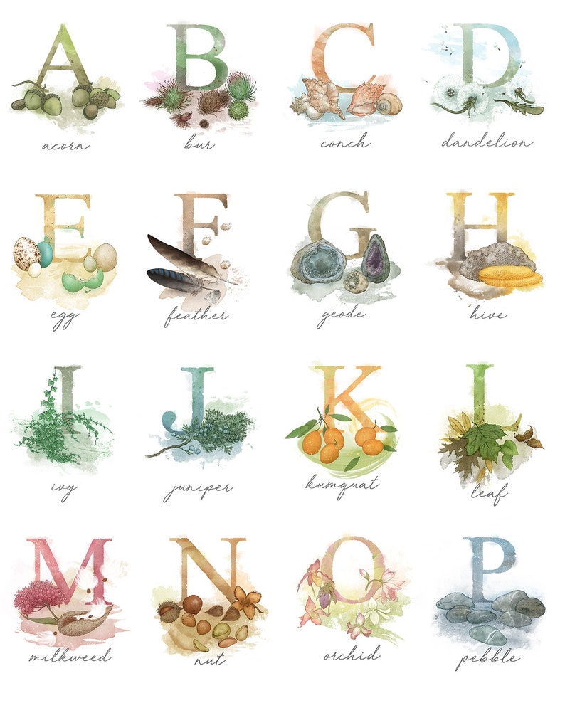 nature elements alphabet poster 13x 19 art print etsy