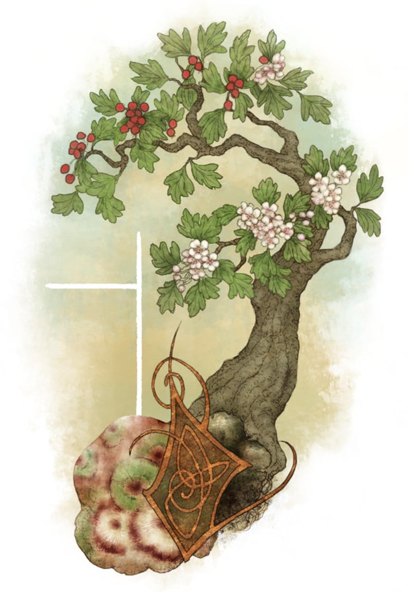 UATH Ogham art print 8.5 x 11 hawthorn earth magic set Etsy