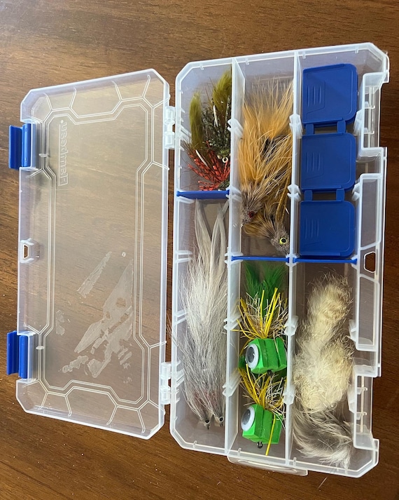 bass fishing fly boxes Ansnbo 100pcs Flies Kit with Fly Box, Assorted Dry Wet Flies, Nymphs, Streamers for Trout, Bass, Salmon Fishing, Popper, Woolly Bugger Lures Assortment : Sports & Outdoors a chance to discover the complex world of selecting and using flies Fly Box With Flies for