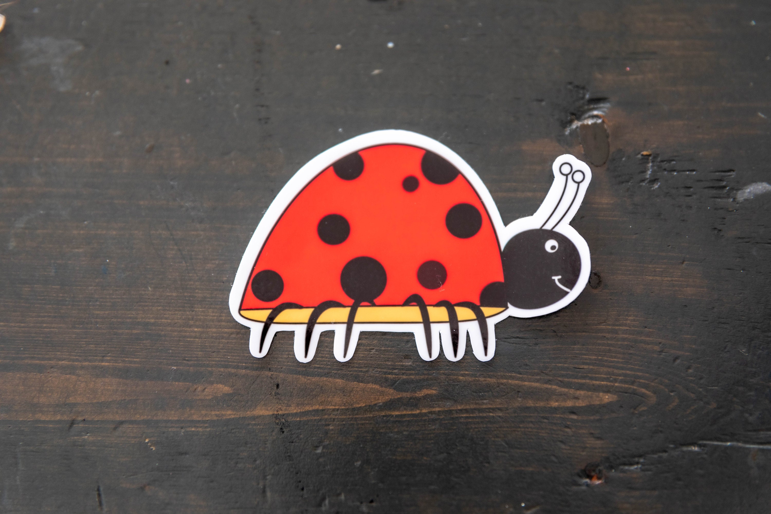 Ladybug Vinyl Sticker – Cute Waterproof Insect Decal for Laptop, Water ...