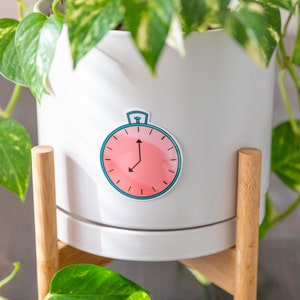 May include: A white ceramic planter with a pink and teal clock sticker on the side. The planter is on a wooden stand with a green plant growing out of it.