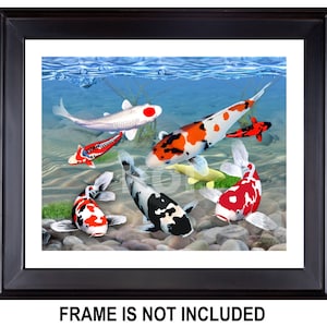 Koi Fish Satin Canvas Giclée Print 14&quot;x11&quot; &quot;Jewels of Koi Beneath&quot; Japanese Koi Pond from Original Digital Painting by T.L. Baalke