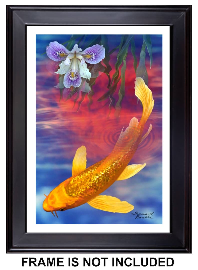 Twilight In Koi Pond >> Free Shipping Koi Fish Giclee Print 12 X 18 Of Etsy Twilight In Koi Pond >> Free Shipping Koi Fish Giclee Print 12 X 18 Of Etsy