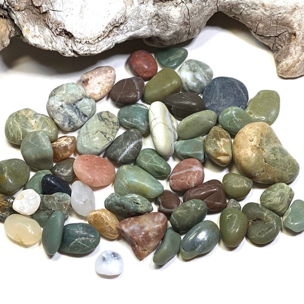 Beach Pebbles, California Beach Stones, Craft Pebbles, Mosaic Supplies, Terrarium Stone, Multi Color Beach Pebbles, Craft Stone, Beach Art