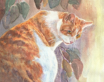 Ginger orange stripped cat, tabby original cat portrait, print from watercolor, pet memorial gift, orange and white cat, gift for cat lovers
