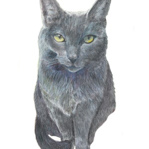 Gray cat in watercolor portrait, gray cat green eyes painting portrait, cat art print with white mat, cat memorial gift, blue gray cat print