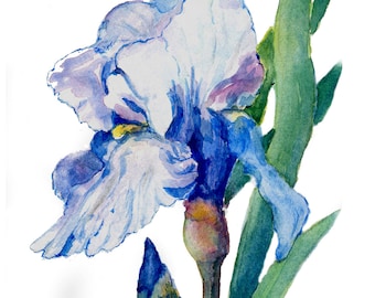 Iris watercolor painting, floral art, floral home decor, Iris art print, stationery floral set notecards, mother day gift, blue iris for mom