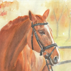 Red Horse in watercolor painting, horse painting print, horse art print, watercolor horse art, gift for horse owner, equestrian horse art