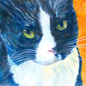 Tuxedo cat painting, black and white cat, cat in print from watercolor, cat lover gift