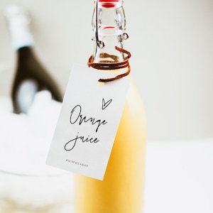 Mimosa Juice Tags Template Download, Printable Mimosa Bar Juice Tags, Mango, Carafe Hanging Tags, Orange Juice Bottle Label, Editable, 41