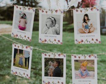 First Year Photos, 1st Birthday Photo Display Banner, Monthly Photo Banner, Wildflower, Floral, Girl, Download, Editable, Template, 55